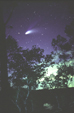 Comet Hale-Bopp through the Trees