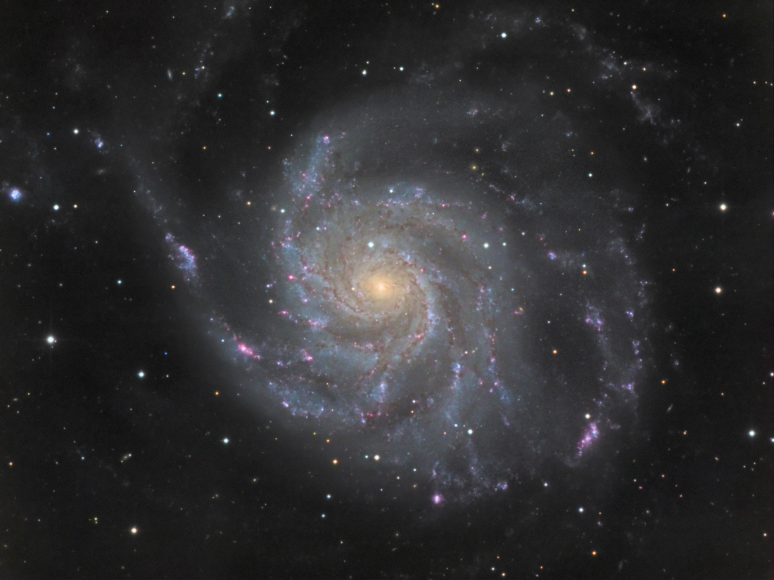 Hap G. M101 Pinwheel