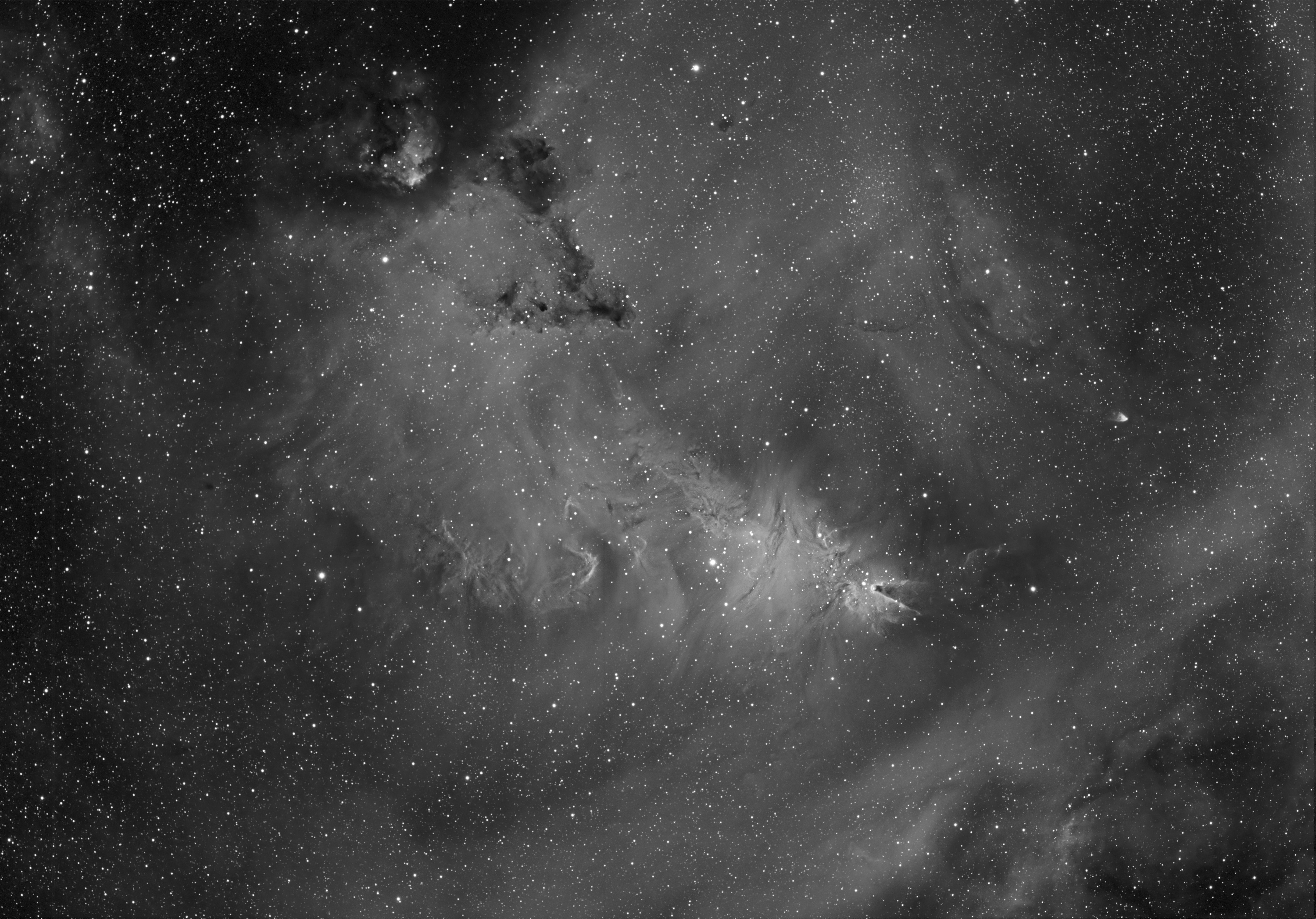 Brian Peterson - Cone Nebula Region